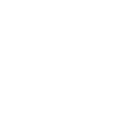 blurflake3.png
